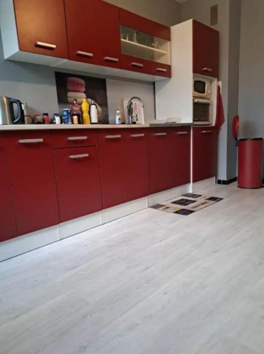 Magnifique Appartement Plein Sud 60 M Carre Limoges Zewnętrze zdjęcie